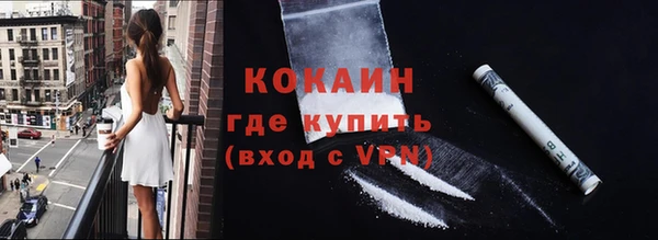 PSILOCYBIN Корсаков