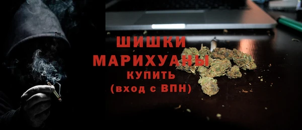 дмт Козельск