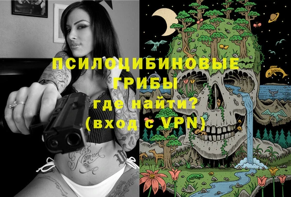 PSILOCYBIN Корсаков