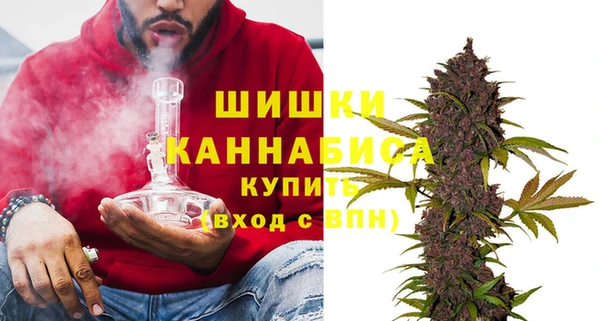PSILOCYBIN Корсаков