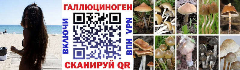 продажа наркотиков blacksprut вход Псилоцибиновые грибы GOLDEN TEACHER Сысерть